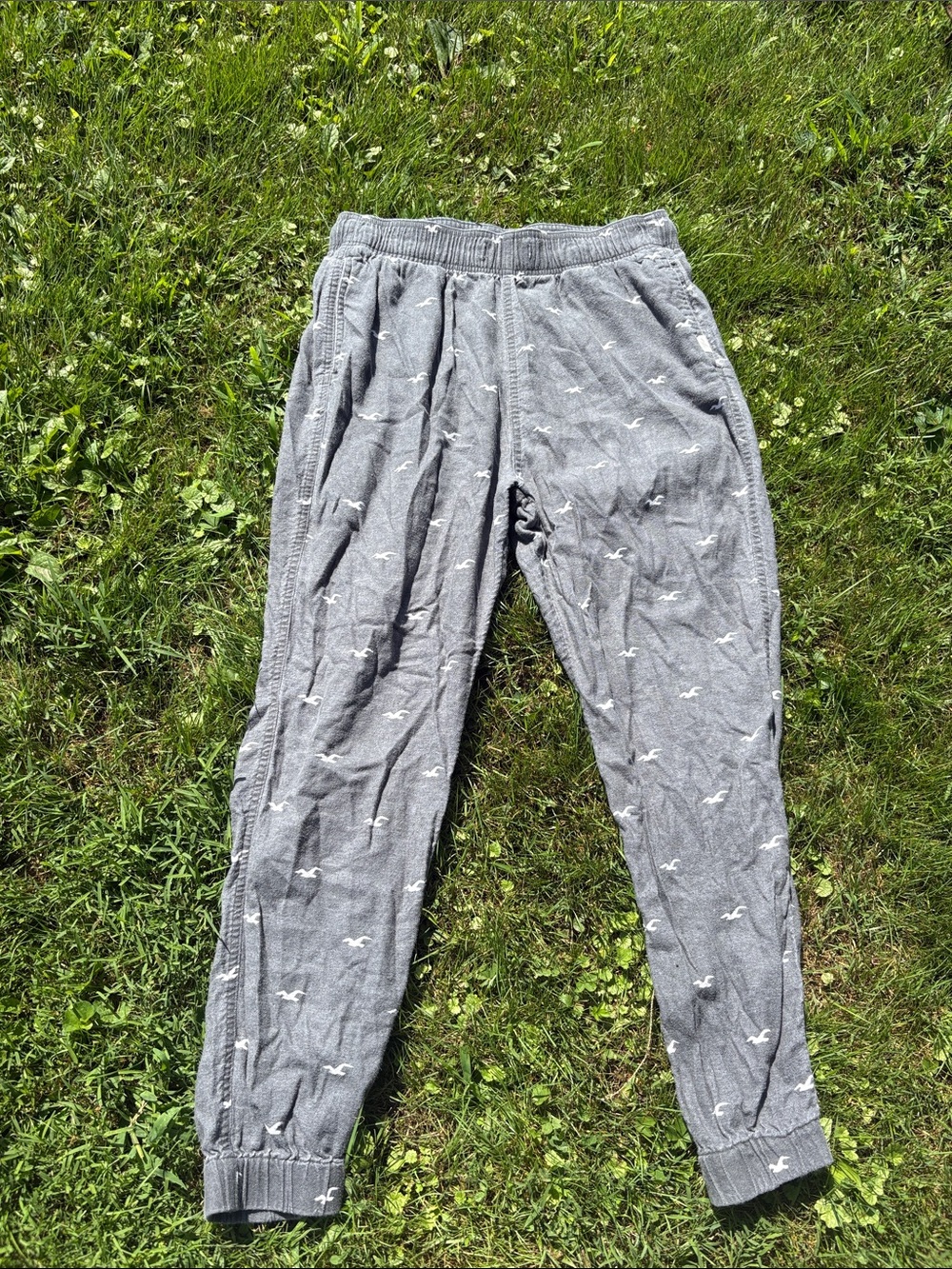 Hollister sleep pants